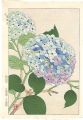 <strong>Kawarazaki Shodo</strong><br>Hydrangea