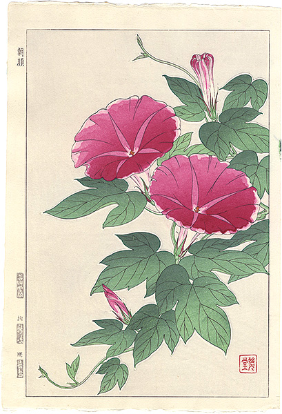 Kawarazaki Shodo “Morning glory”／