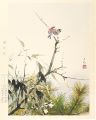 <strong>Sakakibara Shiho</strong><br>Pine, Bamboo and Plum