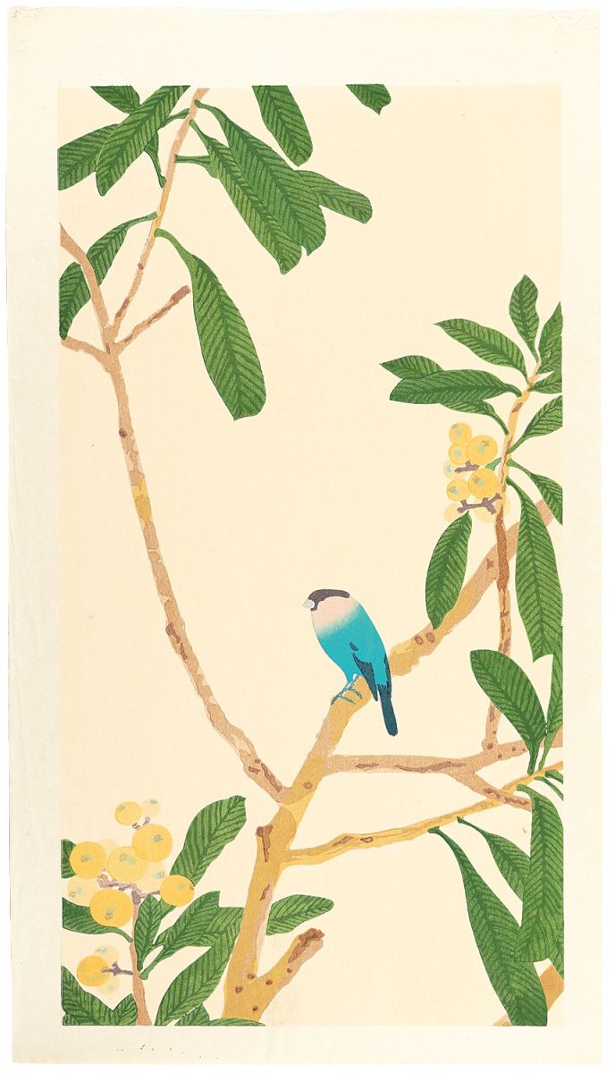 Imamura Shiko “Loquat and a Java Sparrow”／