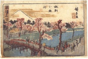 Hiroshige I/[諸国名所　武州小金井]