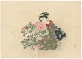 <strong>Komura Settai</strong><br>The Paeony