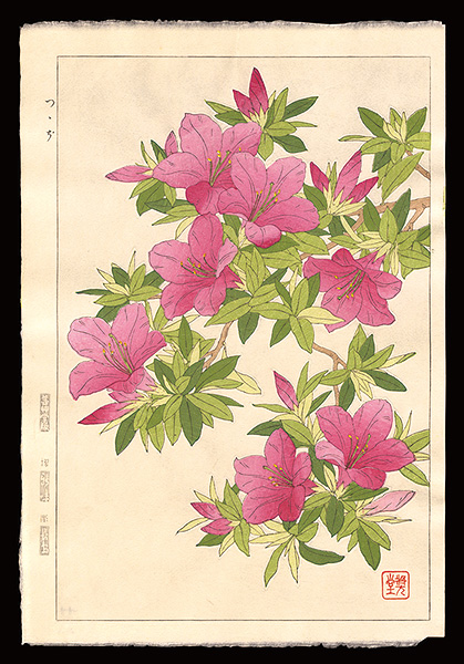 Kawarazaki Shodo “Azalea”／