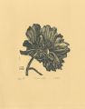 <strong>Hiratsuka Unichi</strong><br>Peony