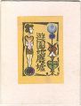 <strong>Woodblock Picture Book : the A......</strong><br>川上澄生