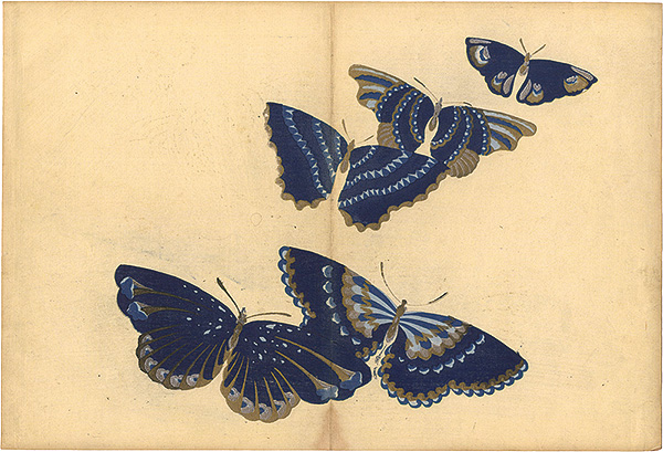 Kamisaka Sekka “A Print from a Thousand Butterflies”／