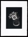 <strong>Tanami Niwako</strong><br>Flower
