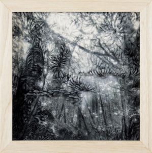 ツツミアスカ｢The Silent Drama-Yakushima #17｣