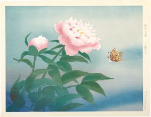 <strong>Kudo Kojin</strong><br>Peony