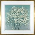 <strong>Hoshi Joichi</strong><br>Magnolia（Kobushi）