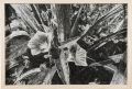 <strong>Tsutsumi Asuka</strong><br>Japan light darkness 05