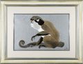 <strong>Kawashima Jyunji</strong><br>Monkey