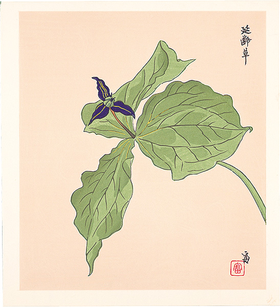 Tokuriki Tomikichiro “Trillium smallii (tentative title)”／