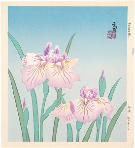 徳力富吉郎｢花菖蒲（仮題）｣