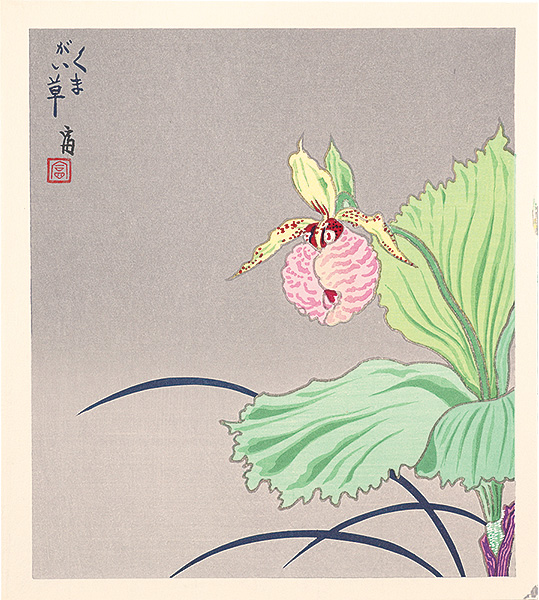 Tokuriki Tomikichiro “A Cypripedium japonicum (tentative title)”／