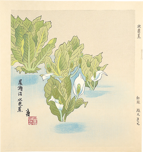 徳力富吉郎｢水芭蕉（仮題）｣／