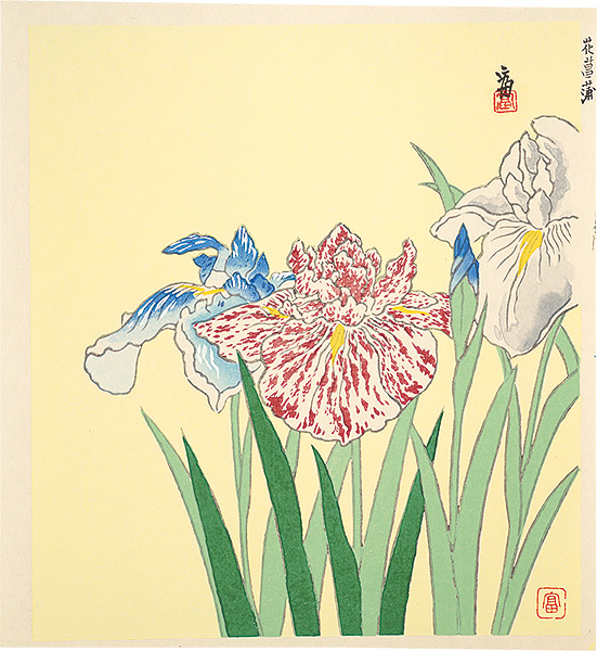 Tokuriki Tomikichiro “Irises (tentative title)”／