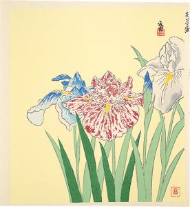 徳力富吉郎｢花菖蒲（仮題）｣