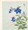 <strong>Tokuriki Tomikichiro</strong><br>Balloon Flowers and a Butterfl......