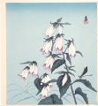<strong>Tokuriki Tomikichiro</strong><br>Gentians