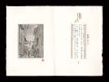 <strong>Saito Shinichi</strong><br>露地の日だまり