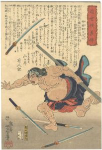 <strong>Yoshitoshi</strong><br>Biographies of Modern Heroes /......