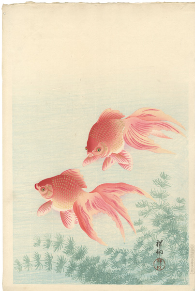 Ohara Koson (Shoson) “Goldfish”／