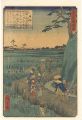 <strong>Hiroshige II</strong><br>Views of Famous Places in Edo ......