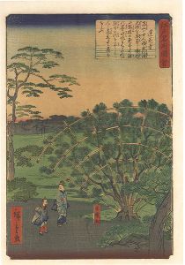 Hiroshige II/Views of Famous Places in Edo / Rengeji Temple[江戸名所図会　蓮花寺]