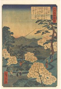 Hiroshige II/Views of Famous Places in Edo / Sendagaya[江戸名所図会　千駄ヶ谷]