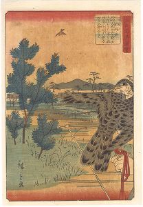 Hiroshige II/Views of Famous Places in Edo / Komabano[江戸名所図会　駒場野]