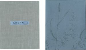 清水洋子｢オリジナル石版画集 花のうてな III｣