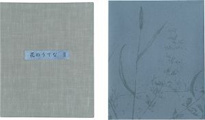 <strong>Twelve Flowers III</strong><br>Shimizu Yoko