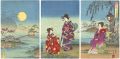 <strong>Nobukazu</strong><br>Customs of the East / Beauties......