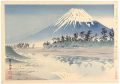 <strong>Tokuriki Tomikichiro</strong><br>Thirty-Six Views of Mt. Fuji /......