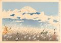 <strong>Tokuriki Tomikichiro</strong><br>Thirty-Six Views of Mt. Fuji /......