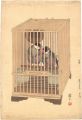 <strong>Yoshida Toshi</strong><br>Java Sparrows