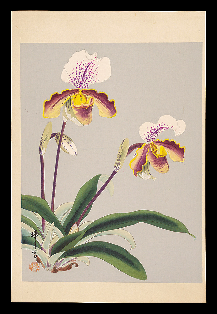 Ikeda Zuigetsu “Orchid”／