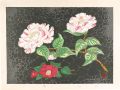 <strong>Inoue Toyohisa</strong><br>Camellia