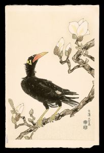 琴塚英一｢木蓮、九官鳥｣