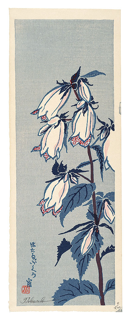 Tokuriki Tomikichiro “Campanula punctata”／