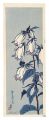 <strong>Tokuriki Tomikichiro</strong><br>Campanula punctata