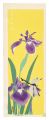 <strong>Tokuriki Tomikichiro</strong><br>Iris