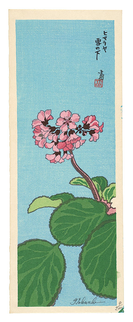 Tokuriki Tomikichiro “Bergenia stracheyi”／