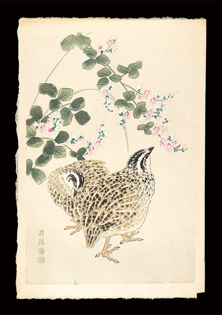 Kotozuka Eiichi “Quails and Bush Clover”／