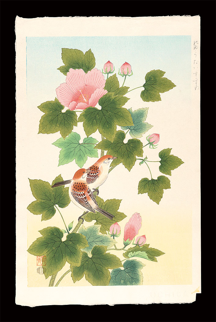 Ashikaga Shizuo “Cinnamon Sparrows”／