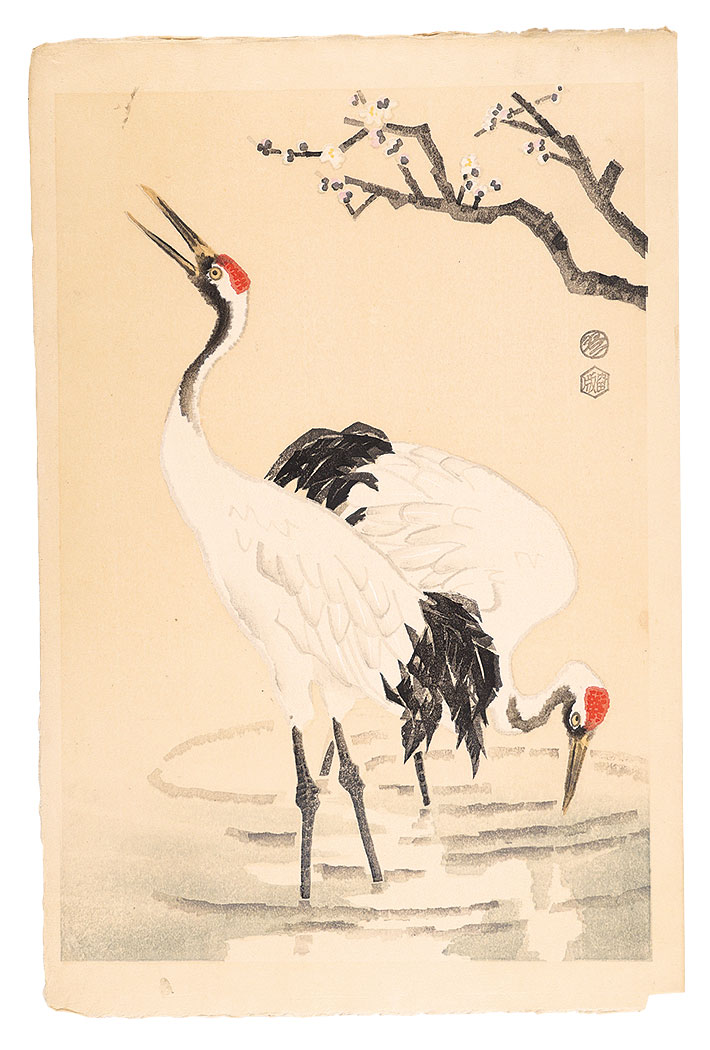 Kotozuka Eiichi “Cranes (tentative title)”／