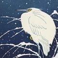 ロザンナ・シャーカリー｢雪中の白鷺｣