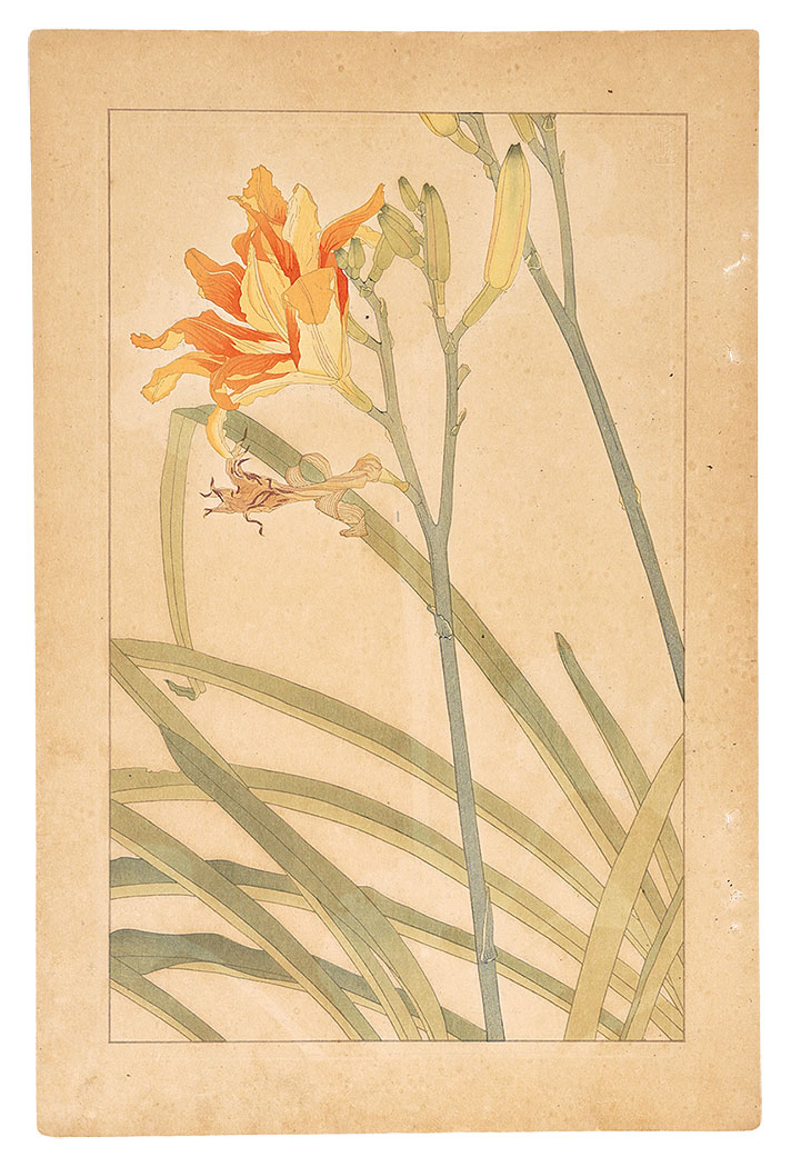 Sugiura Hisui “Day Lily”／