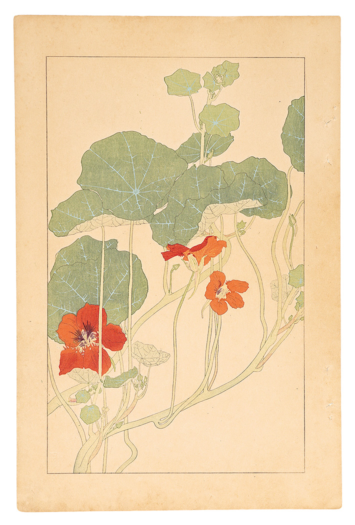 Sugiura Hisui “Tropaeolum Majus”／